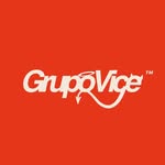 Grupo Vice